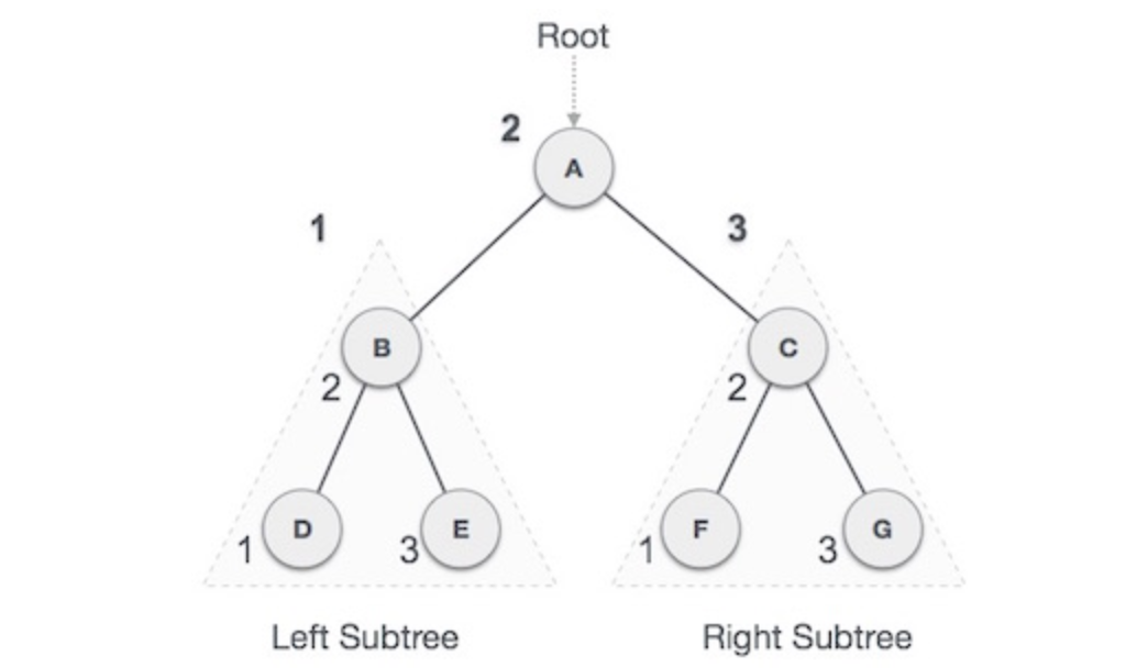 Binary Trees Traversal A Programmer